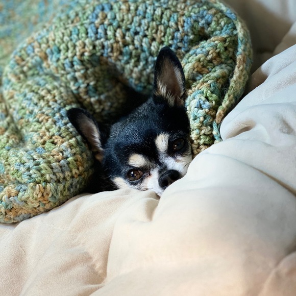 Meet your Posh Ambassador - Picture 4 of 9